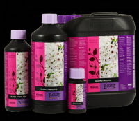 Bloom Stimulator
